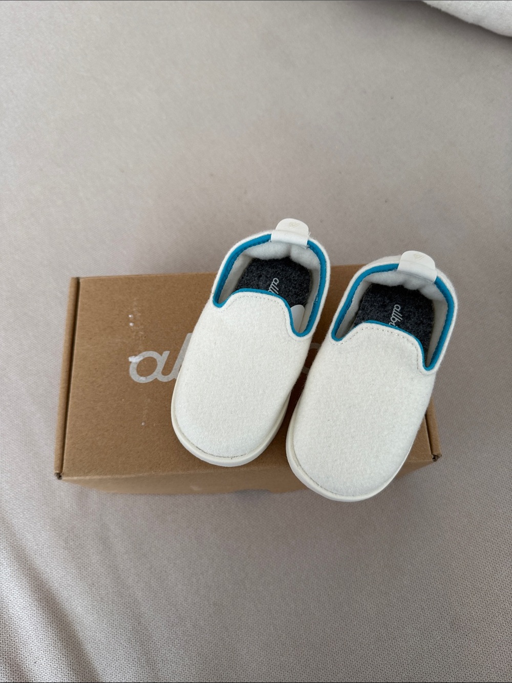 Allbirds toddler slip on shoe